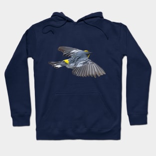 Yellow Rumped Warbler Hoodie